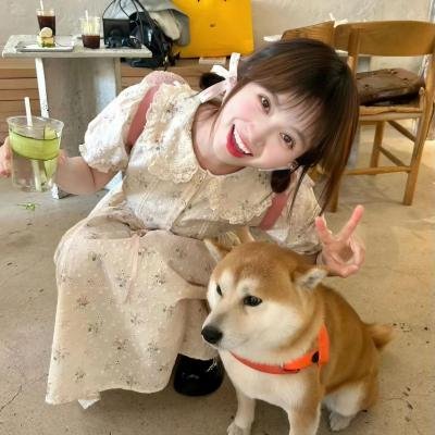 疯狂的兔子
